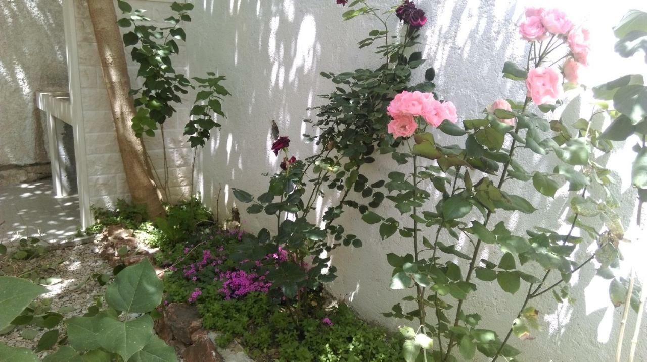 Apartman Restovic 볼 외부 사진